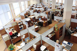 office_workers_400